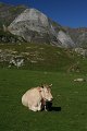 2010_08_17_troumousse_ 317